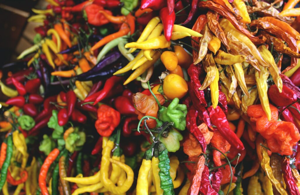 canned roasted peppers